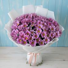 Букет цветов из:  Хризантемы #REPLACE_PRED# Зеленоградском