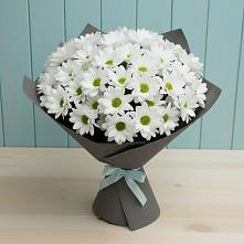 Букет цветов из:  Хризантемы #REPLACE_PRED# Зеленоградском