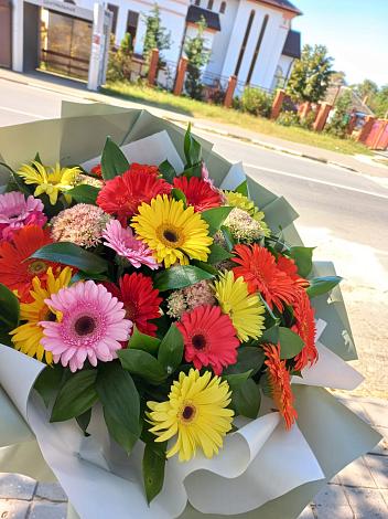 Букет цветов из: Герберы в Зеленоградском