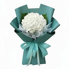 Букет цветов из:  Гортензия в Зеленоградском